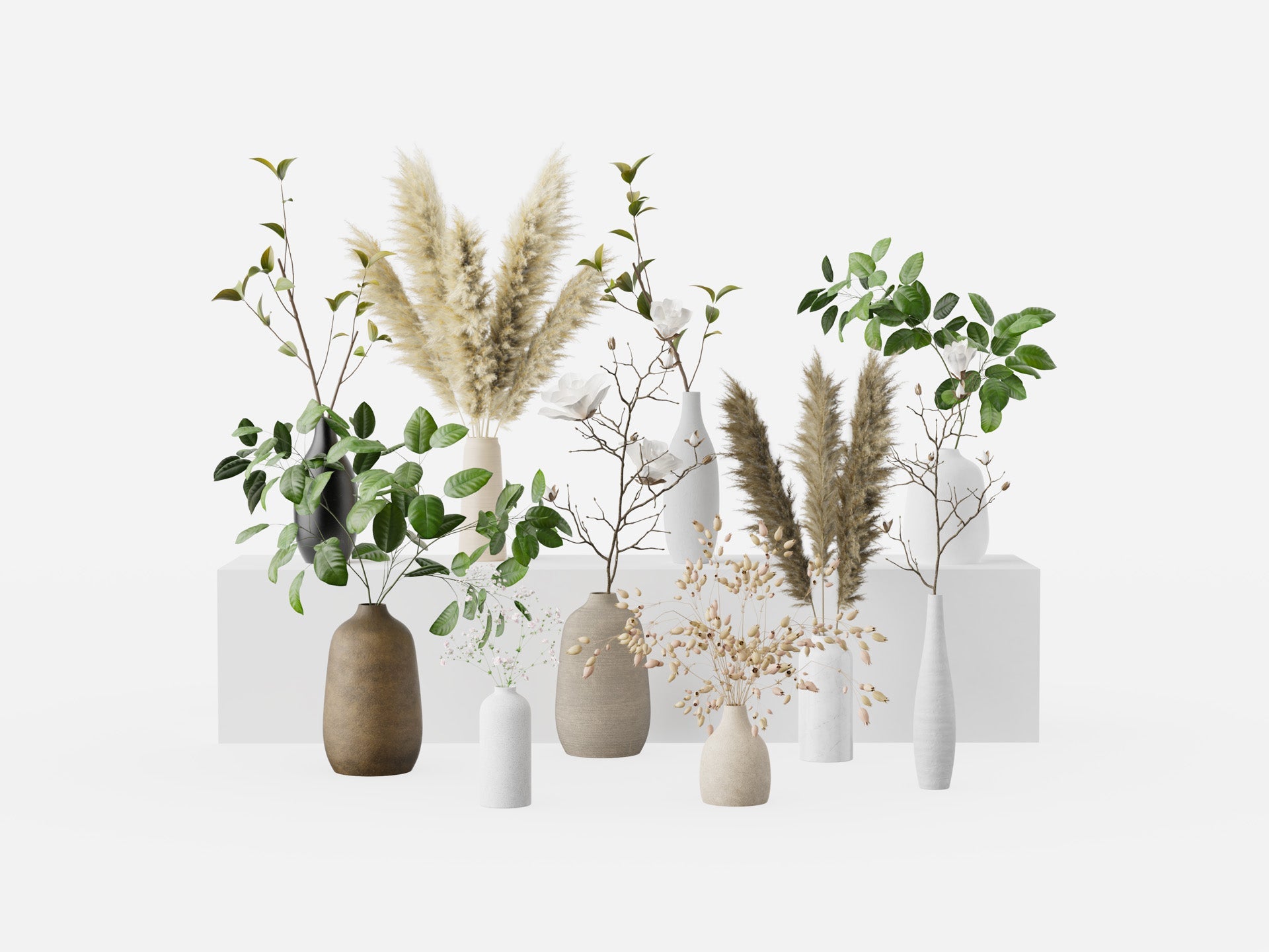 Plant Collection 1 - Visune Keyshot Store