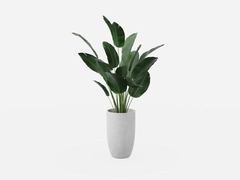 Plant Set 3