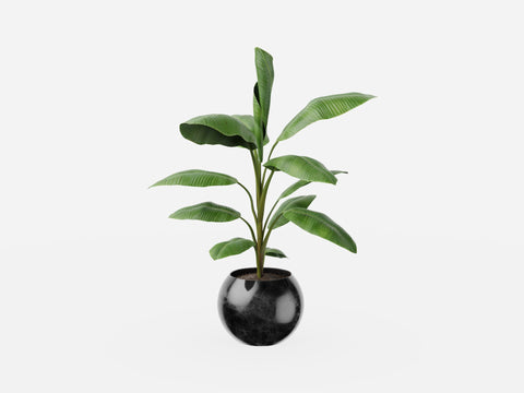 Plant Set 3
