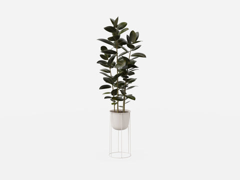 Plant Set 3