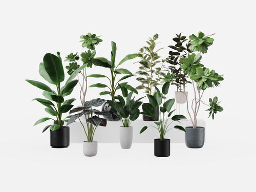 Plant Set 3