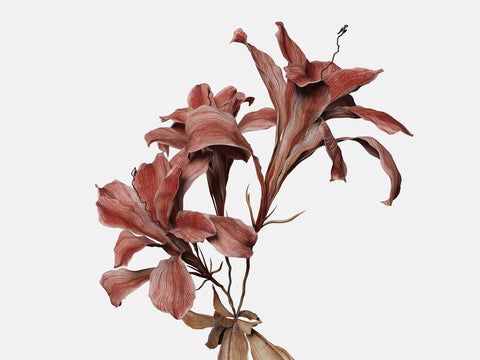 Floral Elements