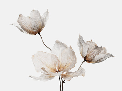Floral Elements