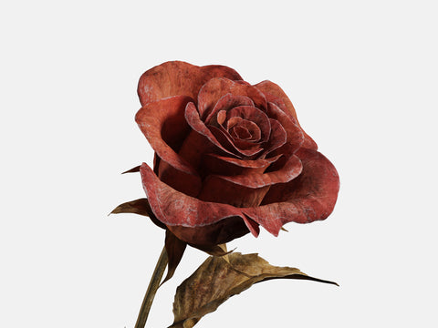Floral Elements