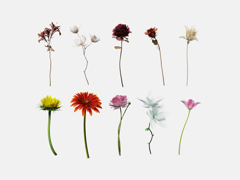 Floral Elements