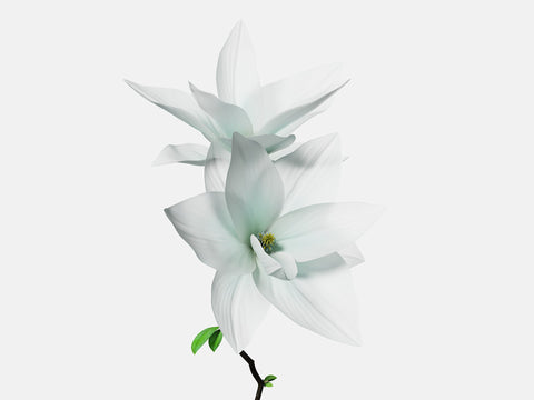 Floral Elements