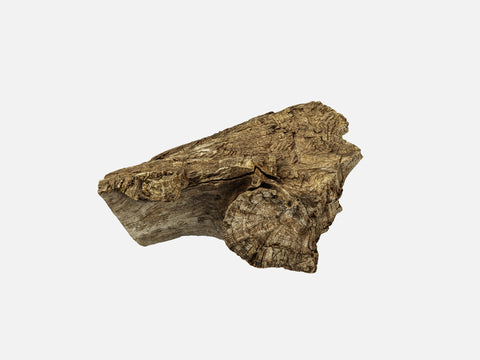 Log and Branch Elements