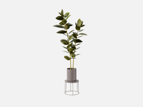 Sample Plant Set