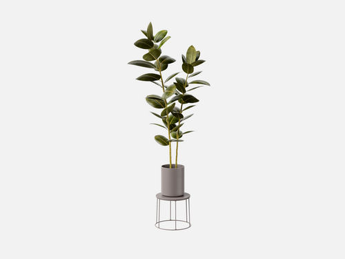 Sample Plant Set