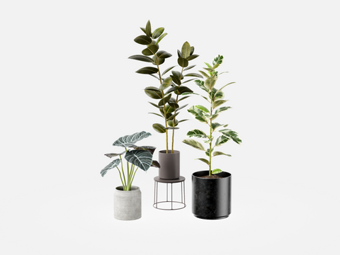 Sample Plant Set