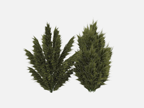 Trees & Shrubs Pack