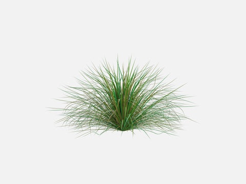 Trees & Shrubs Pack
