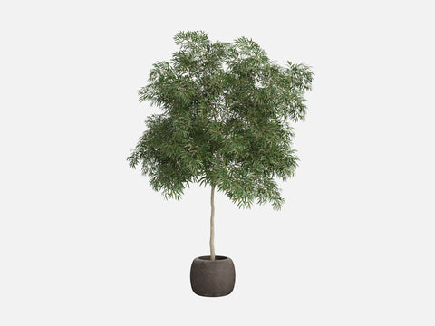 Trees & Shrubs Pack