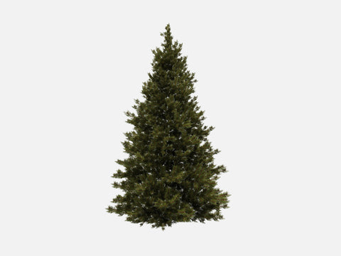 Trees & Shrubs Pack