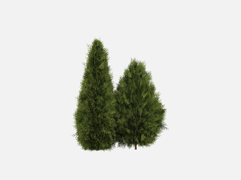 Trees & Shrubs Pack