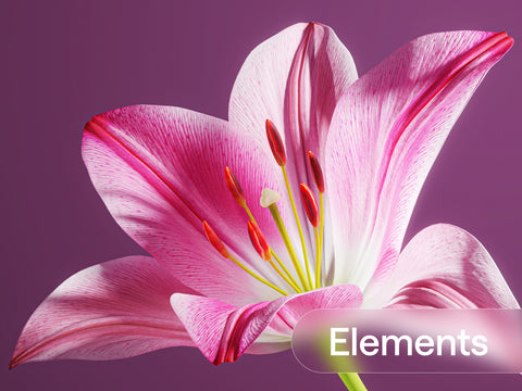 Floral Elements