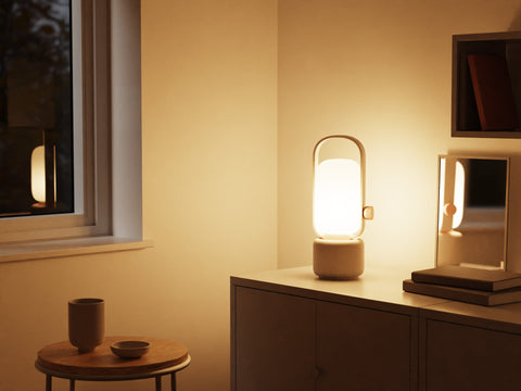 Renter's Room