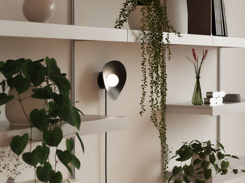 Plants