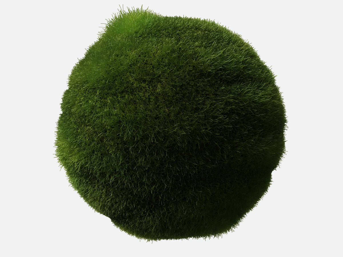Grass 002 Bushy