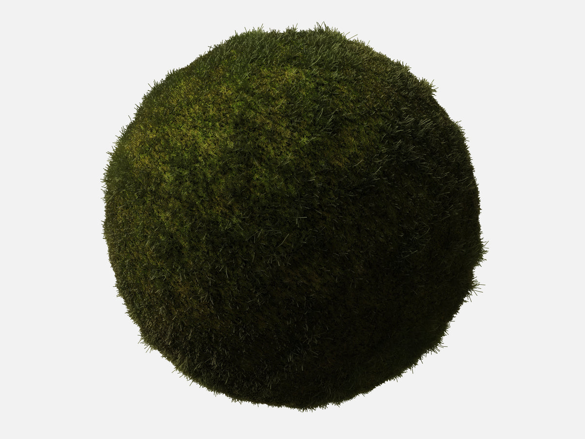 Grass 003 Patchy