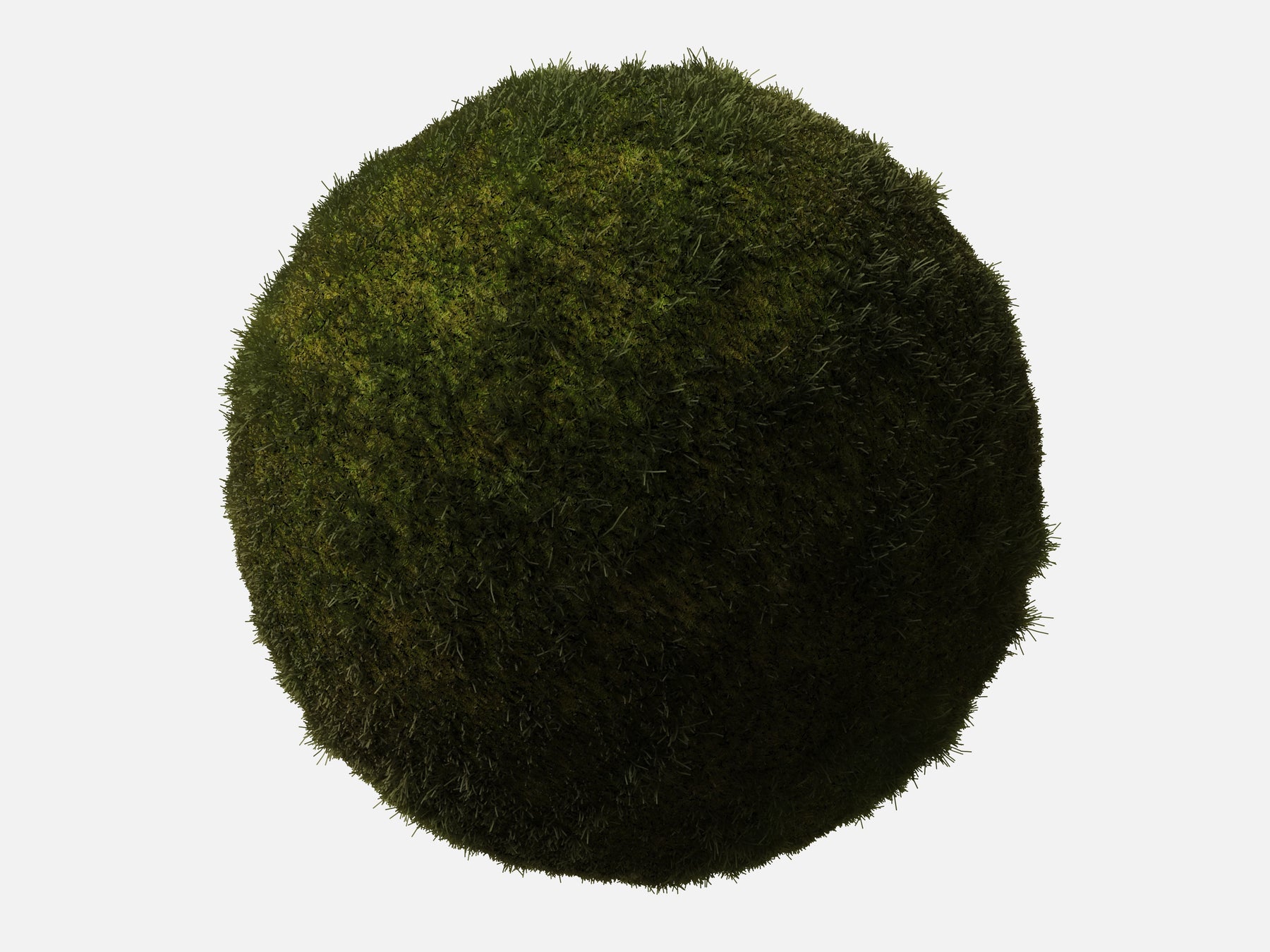 Grass 003 Patchy