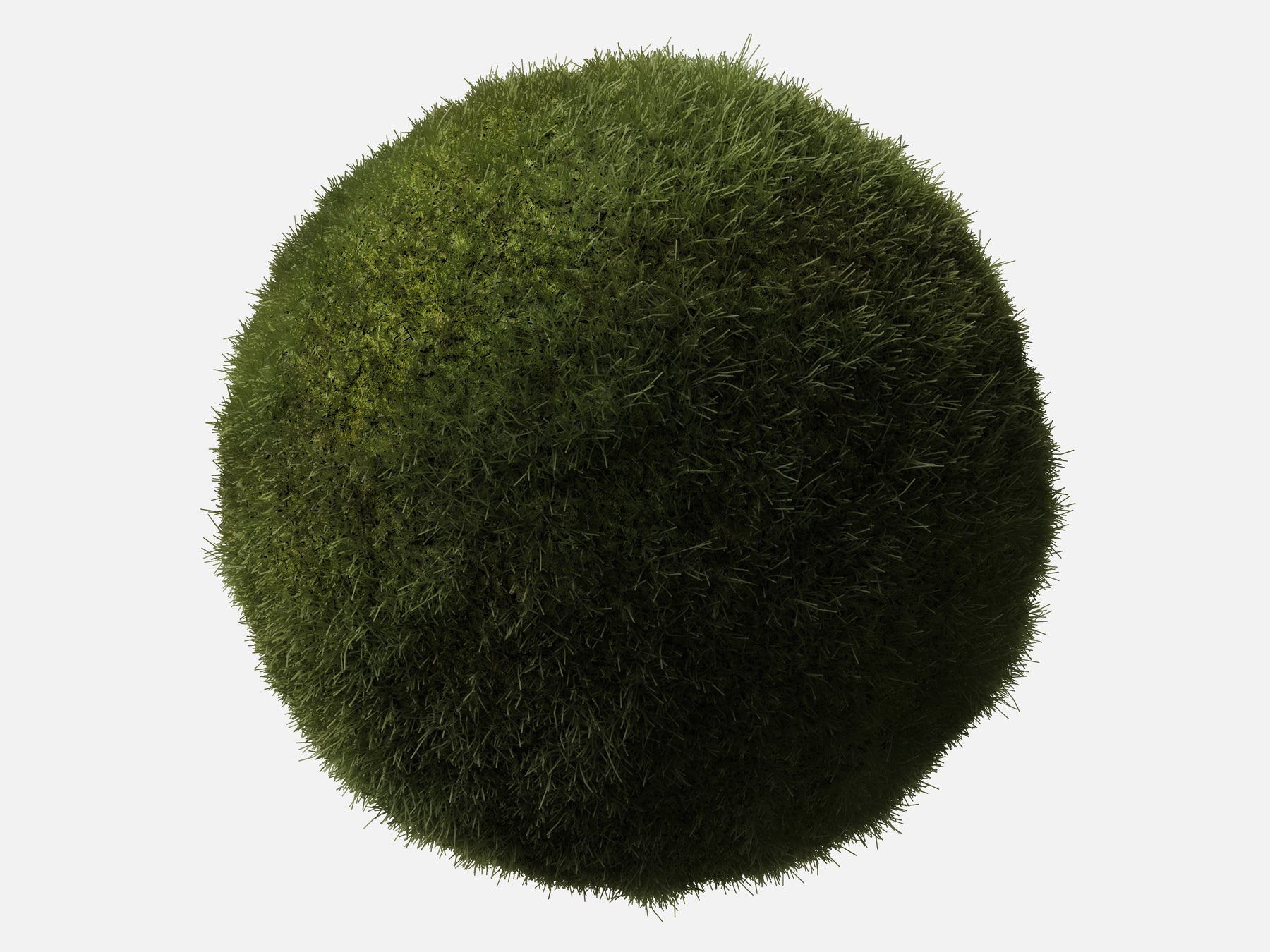 Grass 004 Short