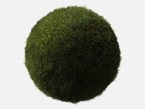 Grass 004 Short