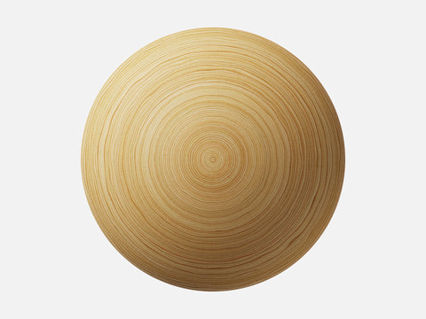 Hickory Wood 001 Endgrain