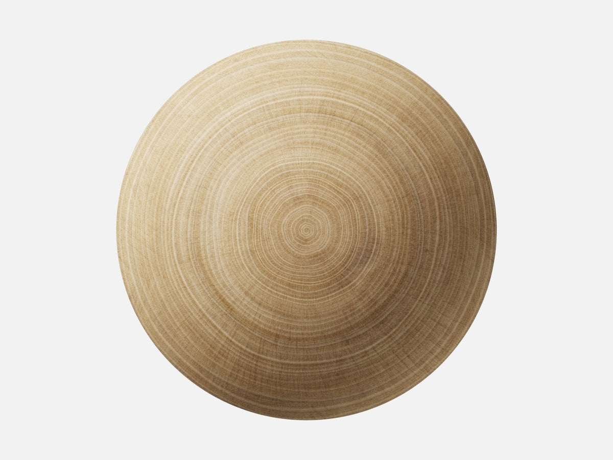 Oak Wood 002 Endgrain