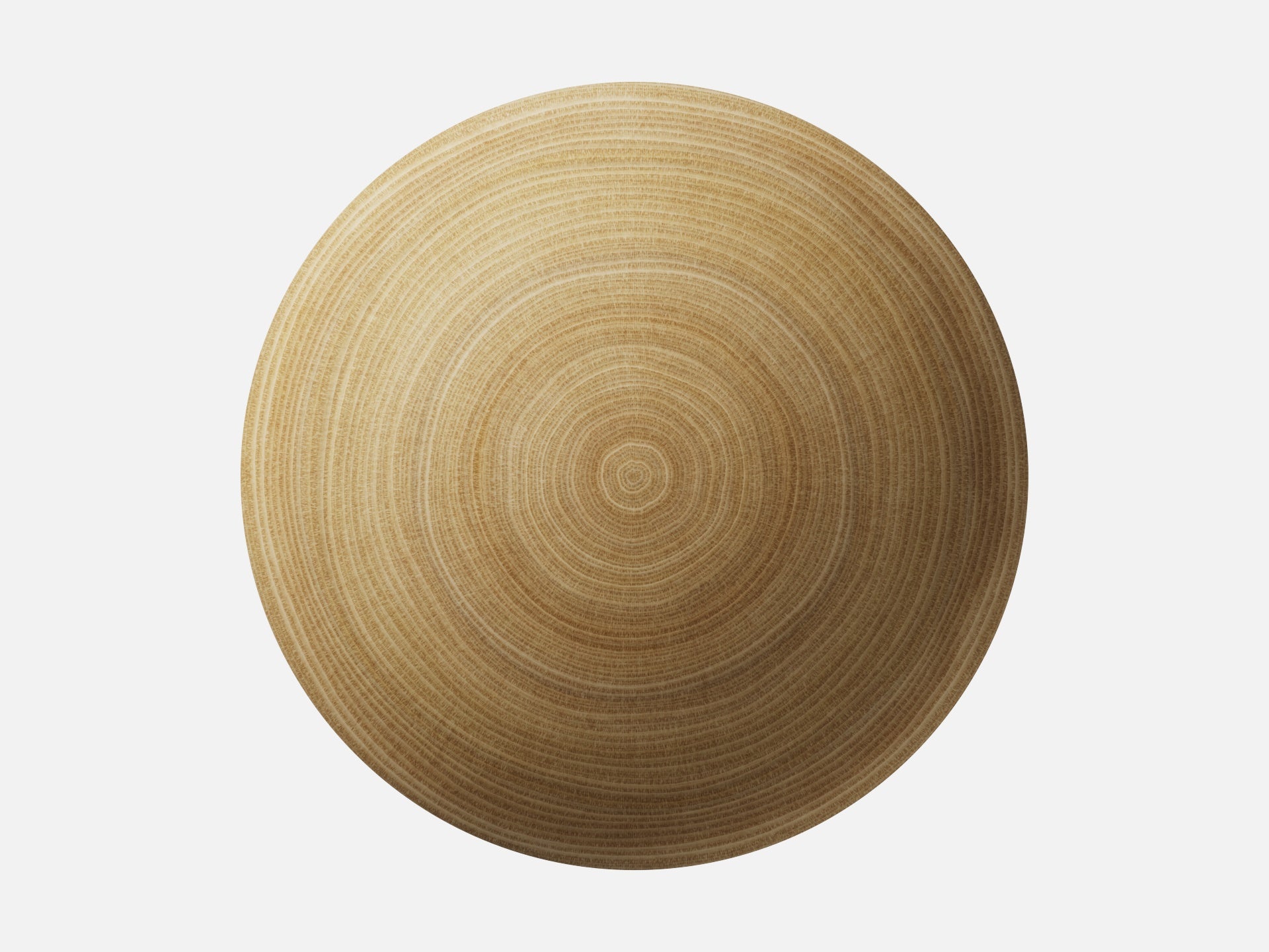Oak Wood 003 Endgrain