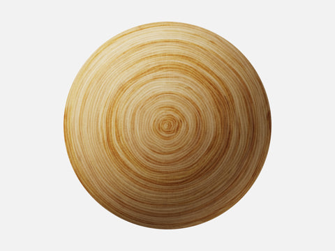 Pecan Wood 001 Endgrain