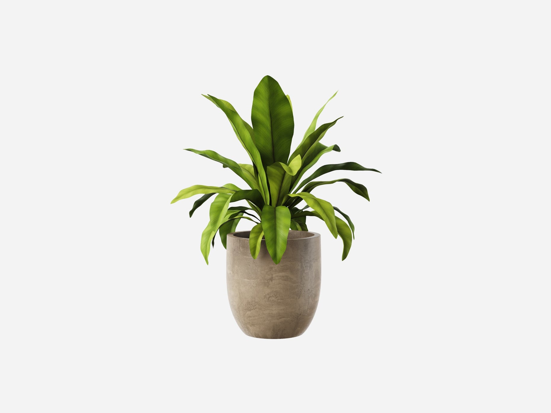 Plant Collection 1 - Visune Keyshot Store