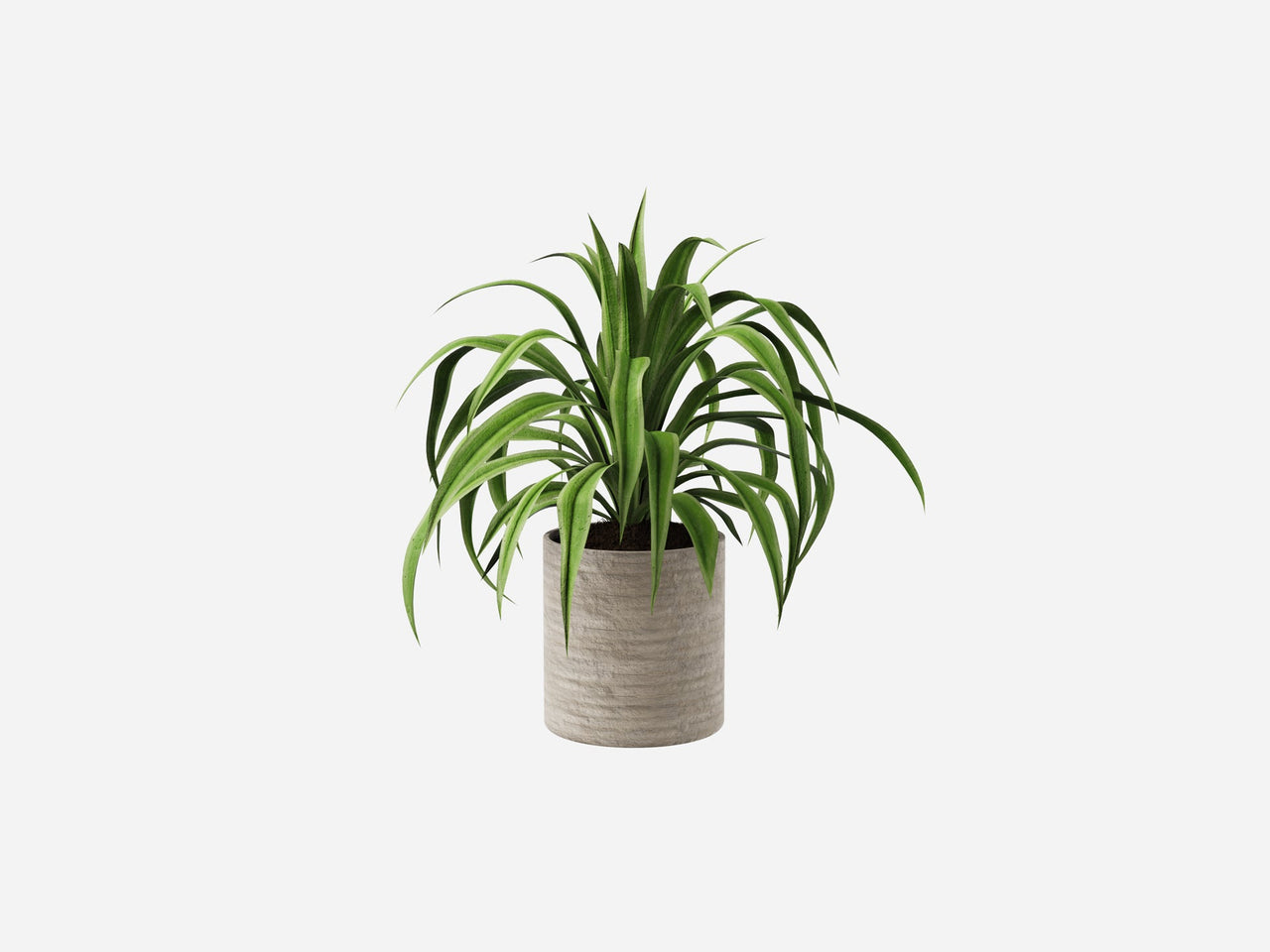 Plant Collection 1 - Visune Keyshot Store