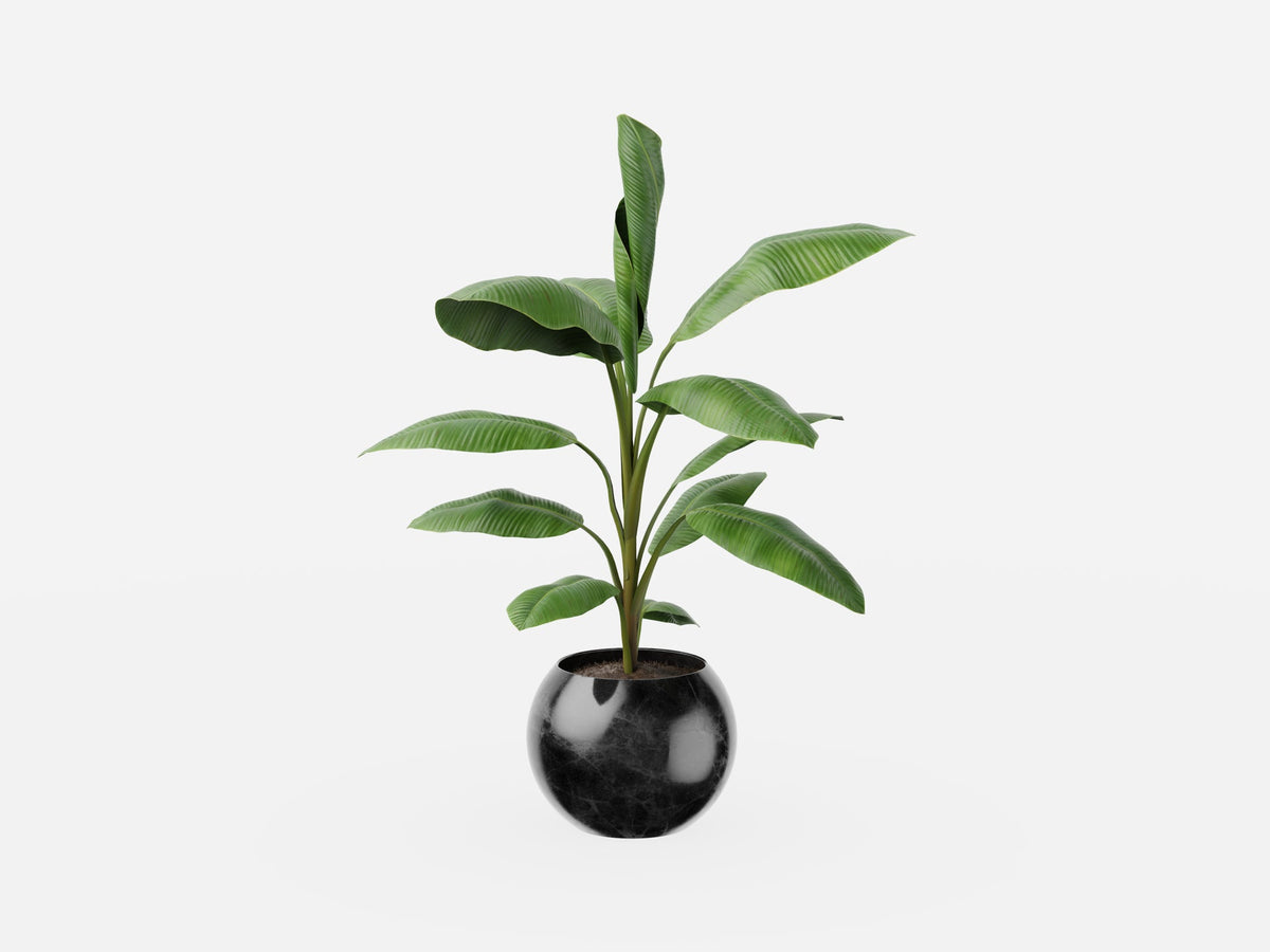 Plant Set 3