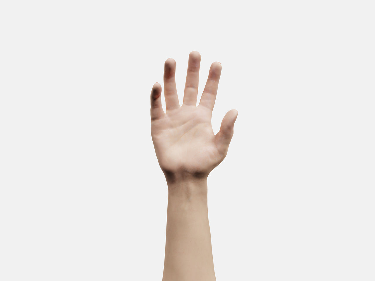 Hand Elements - Visune KeyShot Store