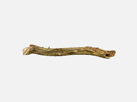 Log and Branch Elements