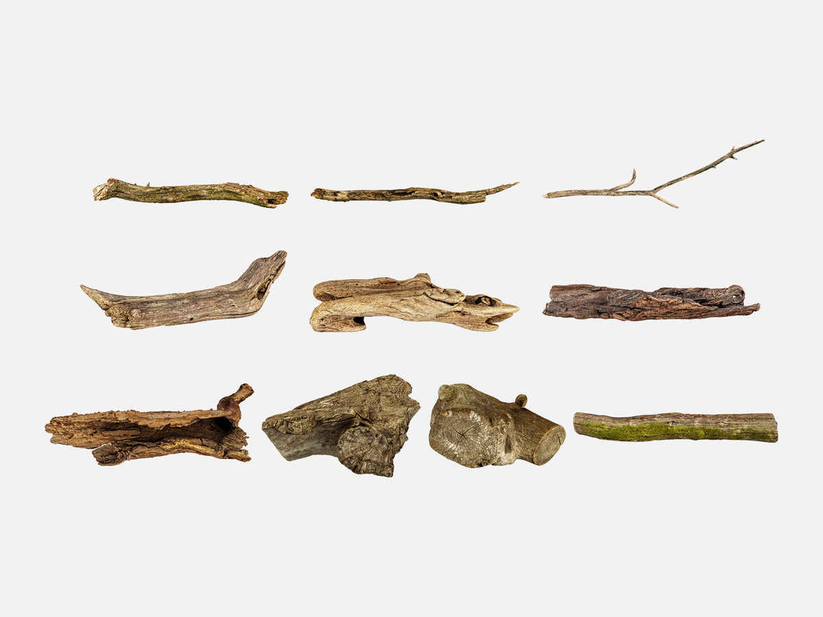Log and Branch Elements
