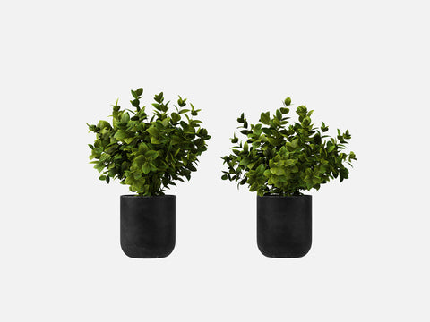 Plant Set 4