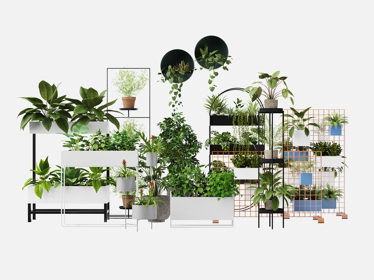 Plant Set 5