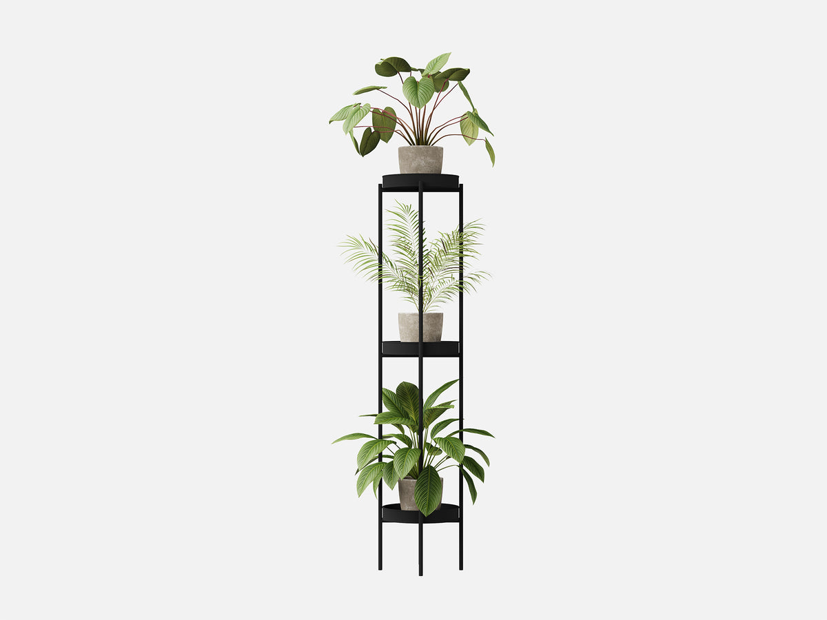 Plant Set 5