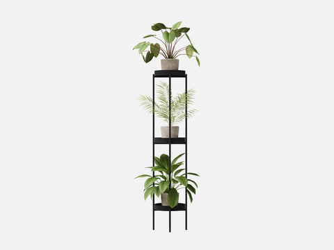 Plant Set 5