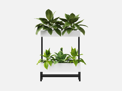 Plant Set 5