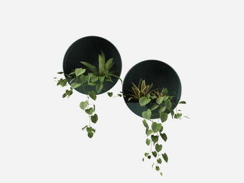 Plant Set 5