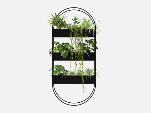 Plant Set 5