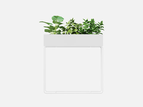 Plant Set 5
