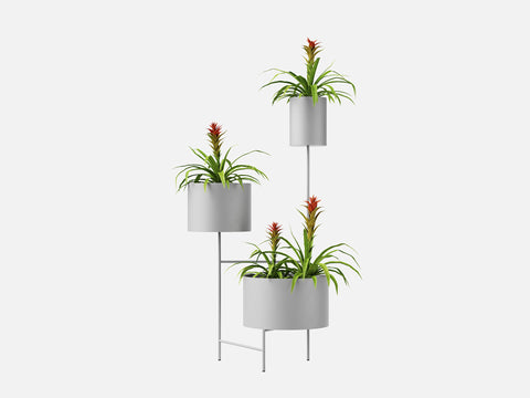 Plant Set 5