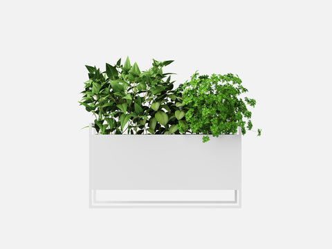 Plant Set 5