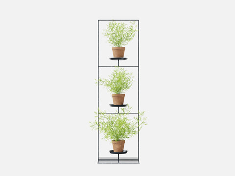 Plant Set 5