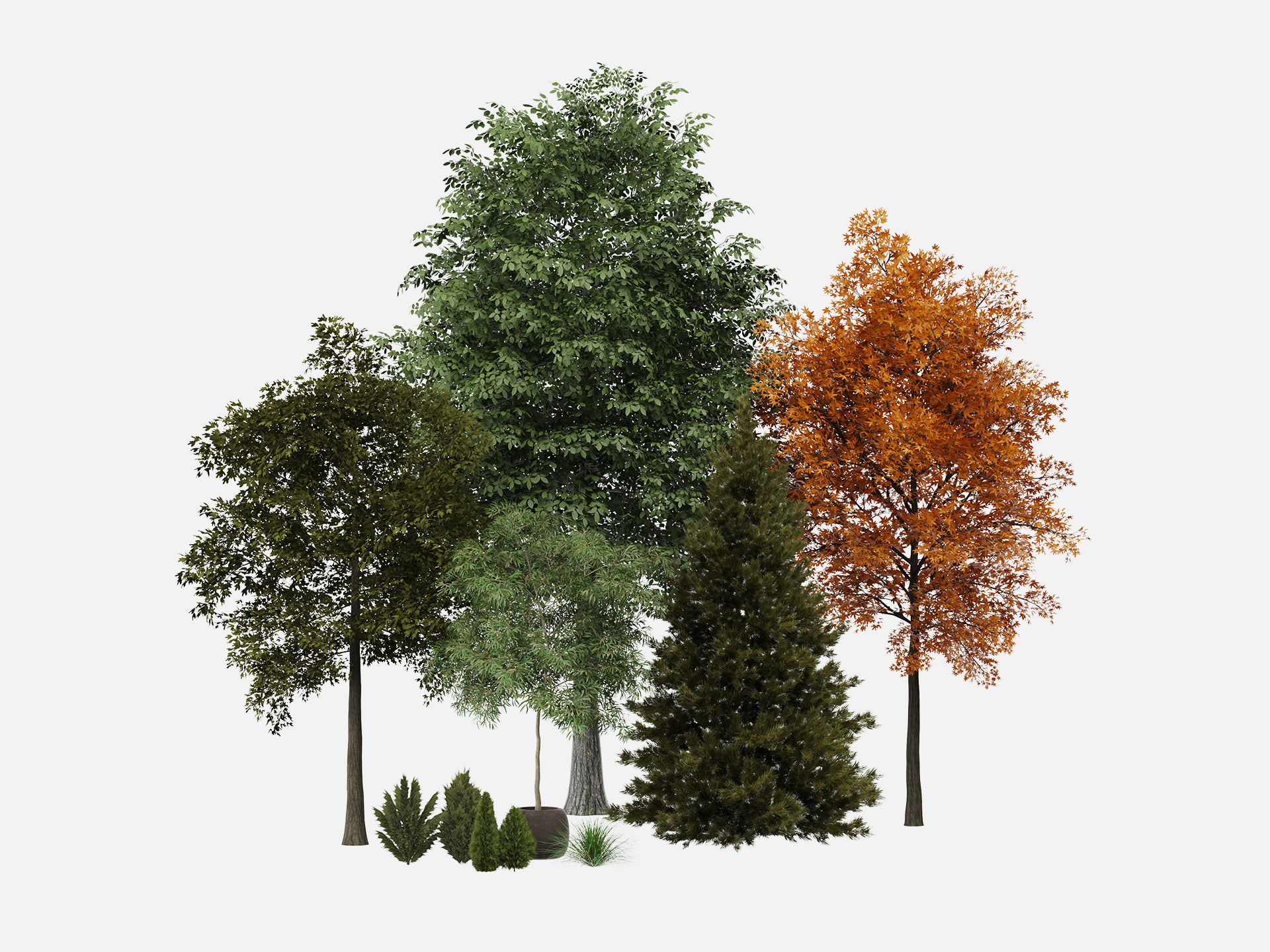 Trees & Shrubs Pack - Visune Keyshot Store