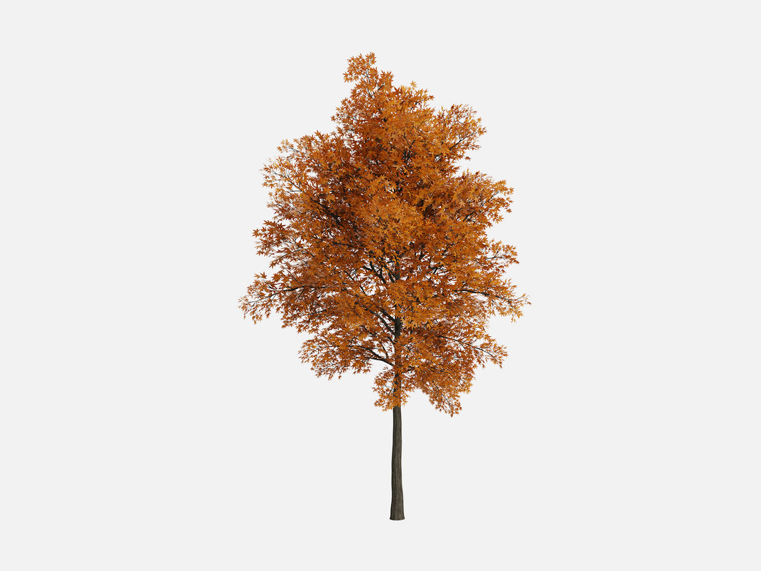 Trees & Shrubs Pack - Visune Keyshot Store